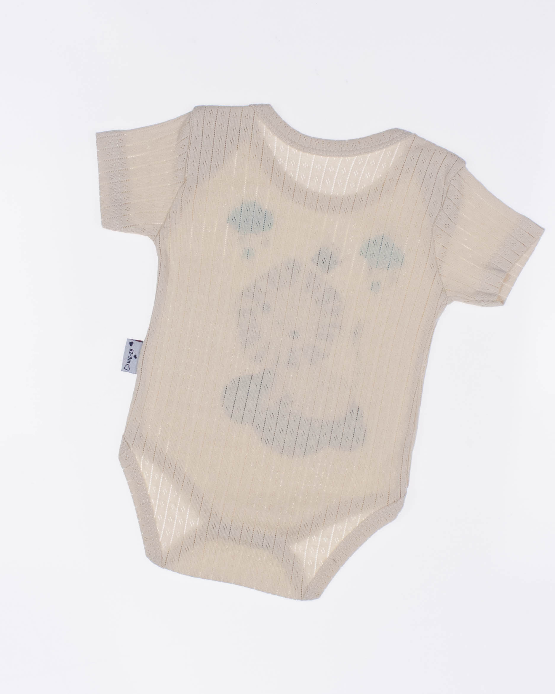 FINDIK 12470 Боди FINDIK 12470 Боди фото